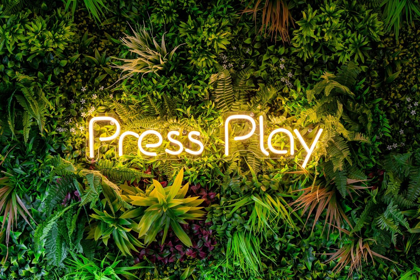 We believe that enjoying Great Entertainment should be as simple as pressing play. We're here to ensure just that—from helping you find the right products, breaking down technical jargon, to getting you set up. All you have to do is #PressPlay.