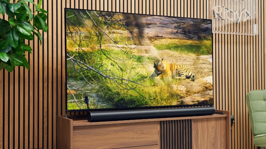 Bravia 8 II in lounge setup